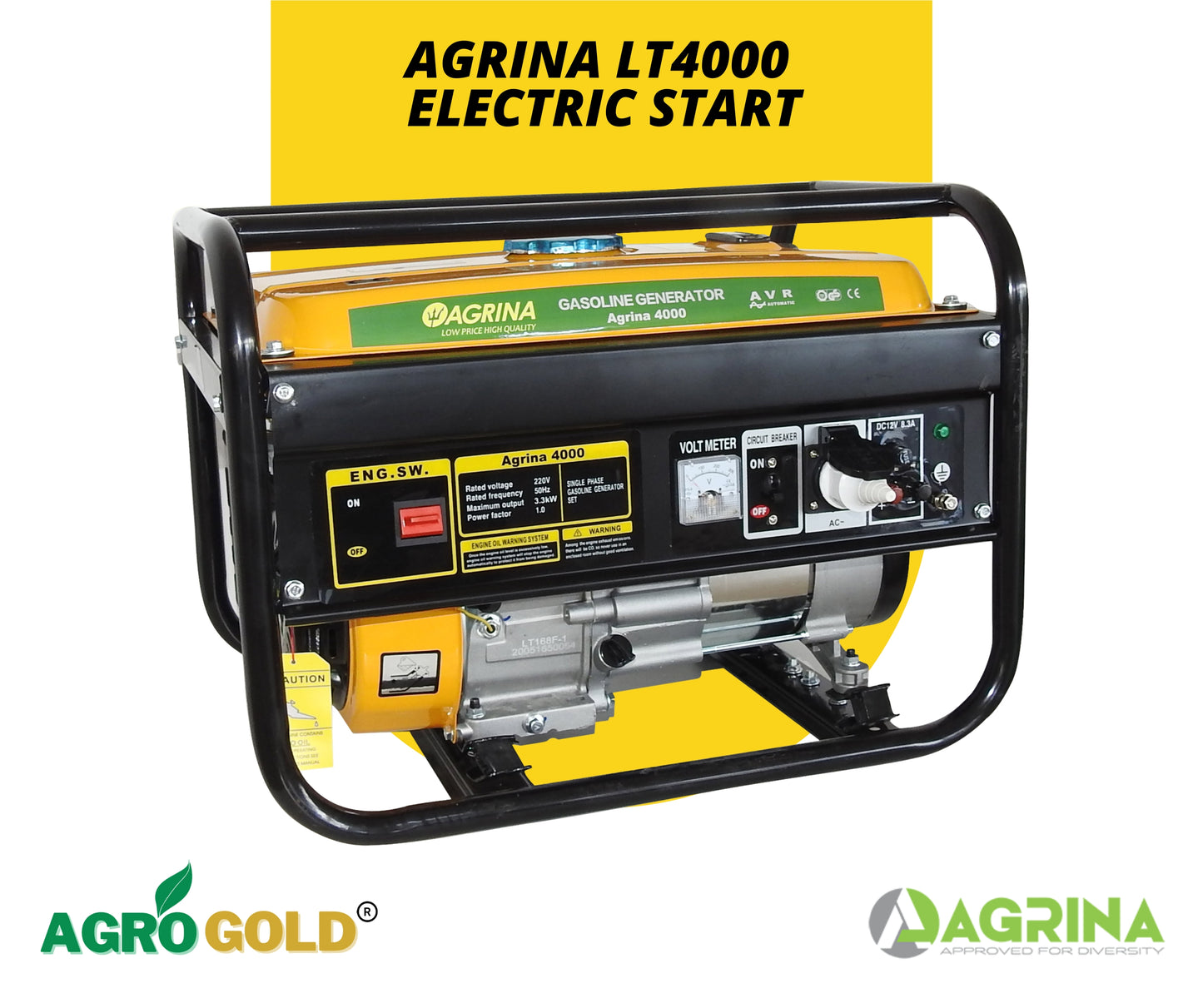 Aggregate AGRINA LT 4000 Electric Start