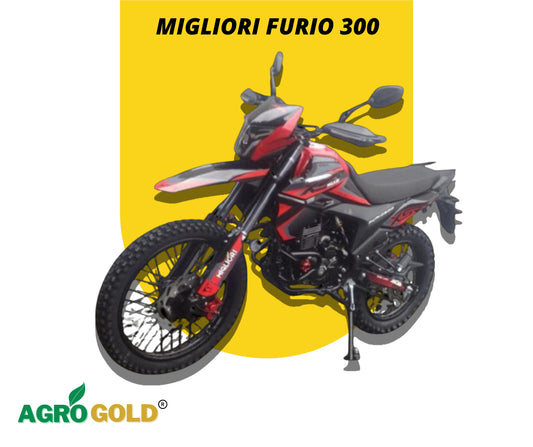 Best Furio 300